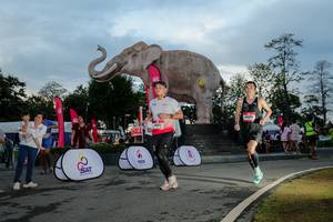 BIB: 
                            <button type="button" onclick="openModal(26529422)" class="btn btn-primary btn-sm float-right btn-popup" data-toggle="modal" data-target=".modal-high-quality">
                        <i class="fas fa-shopping-cart"></i> Add to Cart
                    </button>
                                            <button type="button" onclick="isThisMe(26529422, true)" class="btn btn-success btn-sm float-right btn-popup btn-isme hidden" data-toggle="tooltip" data-placement="bottom" title="นี่คือรูปของคุณใช่ไหม คลิกที่นี่เพื่อเอาเข้าอัลบั้ม">
                        <i class="fas fa-plus"></i> Add to album
                    </button>
                    <button type="button" onclick="isThisMe(26529422, false)" class="btn btn-warning btn-sm float-right btn-popup btn-isnotme hidden">
                        <i class="fas fa-ban"></i> Remove from album
                    </button>